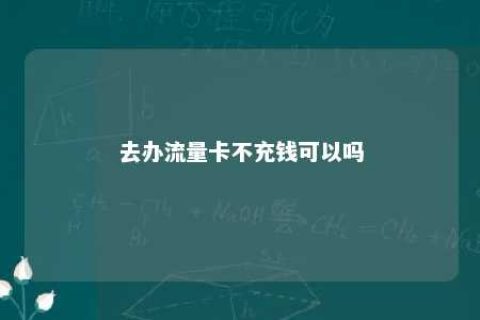 去办流量卡不充钱可以吗